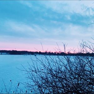 Meet your Posher, Sonora